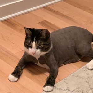 Meet your Posher, Martine